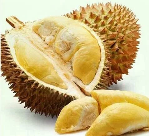 高铁上面可以带榴莲吗（坐高铁能带榴莲吗）