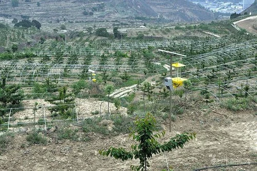 金山地铁是几号线（去金山的地铁站）3