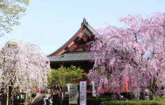 南京地铁三号线林场站有什么值得游览的地方吗(森美术馆地铁站)2