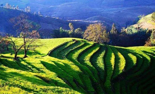 大临铁路什么时候通车(大临铁路项目)2