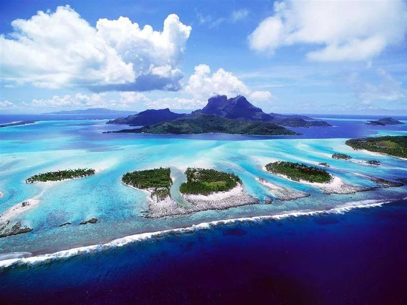 非洲“察沃食人狮”：一年吃掉135人吃人的真相是什么呢（基苏木铁路）