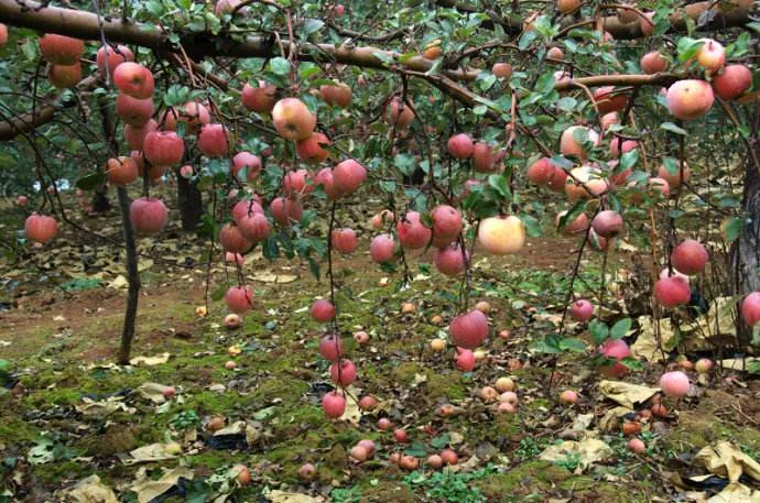 我看到无头鬼了（南京地铁无头鬼）1