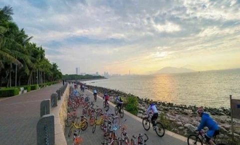 地铁几号线到深圳湾体育中心在哪站的哪个出口下比较近(深圳湾地铁哪个出口)2