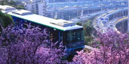 1月13号重庆轨道暂停服务有哪些站（重庆轨道交通的微博）