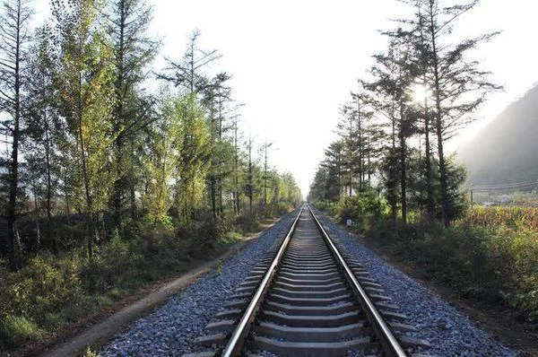 什么叫动车与高铁区别是什么（平时高铁）2