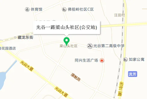 武汉梁山头社区到武汉高铁站打车要多少钱(梁山头社区到武汉站地铁路线)2